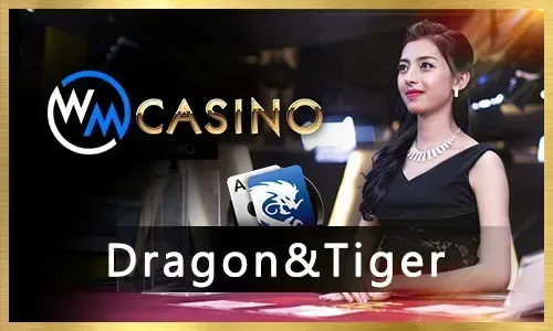 Sports Betting at Nustar Login PH